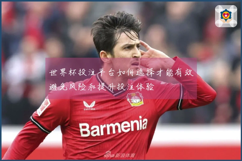 世界杯投注平台如何选择才能有效避免风险和提升投注体验