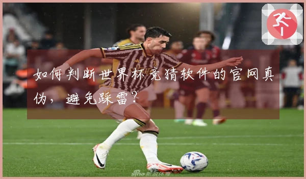 如何判断世界杯竞猜软件的官网真伪，避免踩雷？