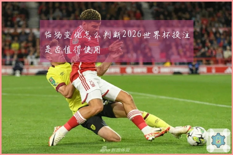 临场变化怎么判断2026世界杯投注是否值得使用