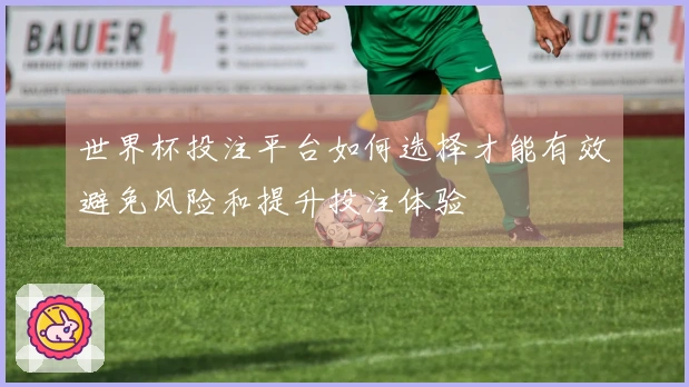 世界杯投注平台如何选择才能有效避免风险和提升投注体验