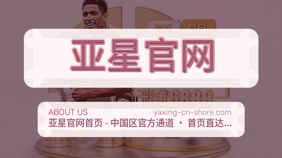 亚星官网APP网页多端服务展示